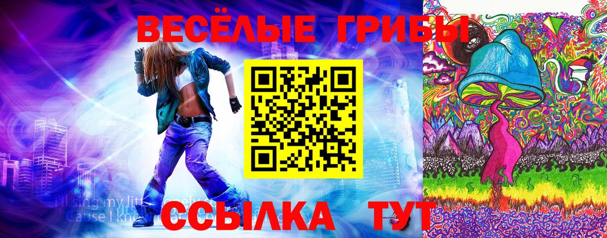 Псилоцибиновые грибы MAGIC MUSHROOMS  Вход с VPN  Верхний Уфалей 